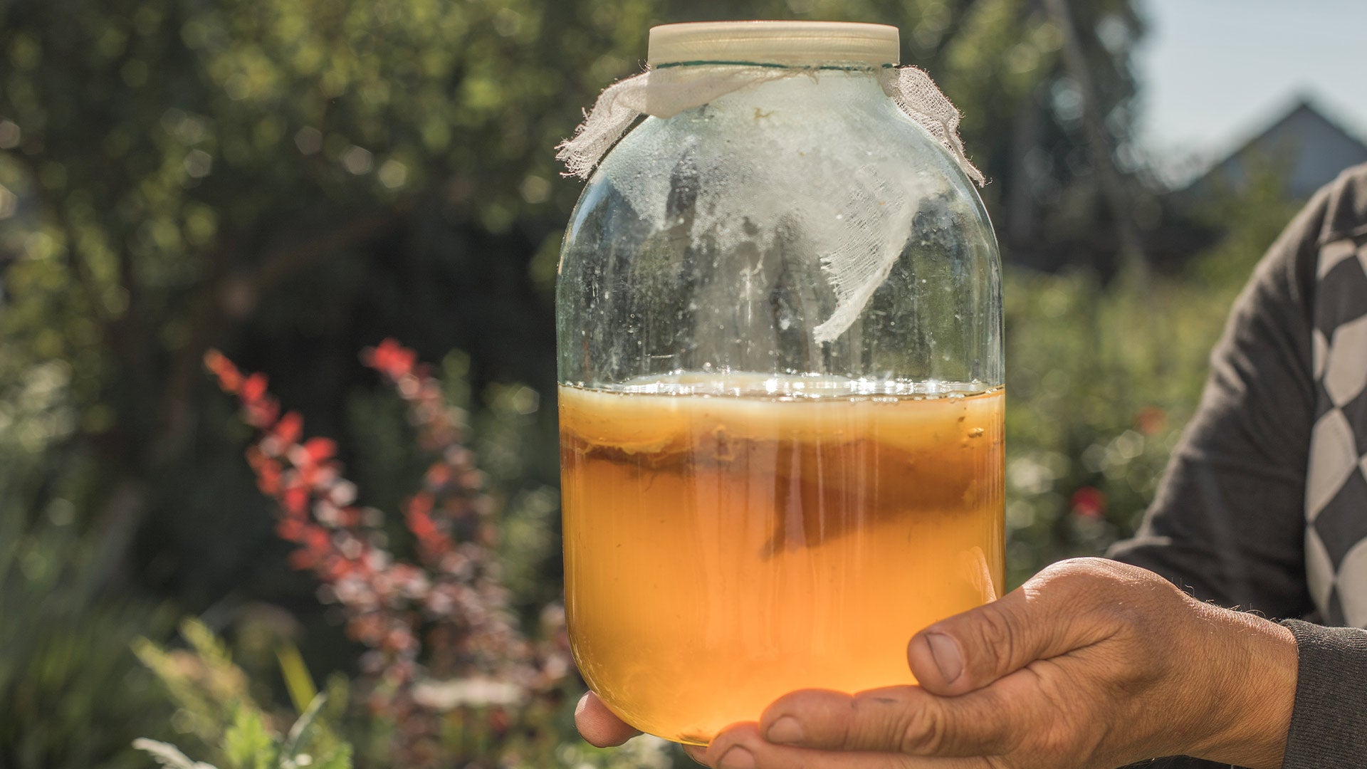 La kombucha: una bebida ancestral con beneficios modernos