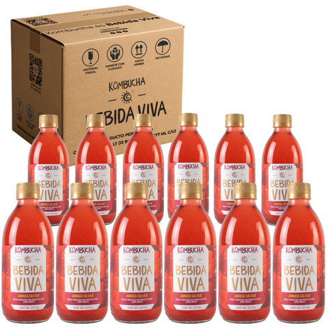 Jamaica Salvaje - 12 Pack