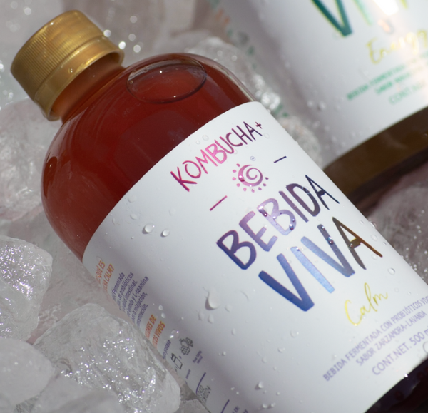 ¿Azúcar en la kombucha?  Hablemos de ello…