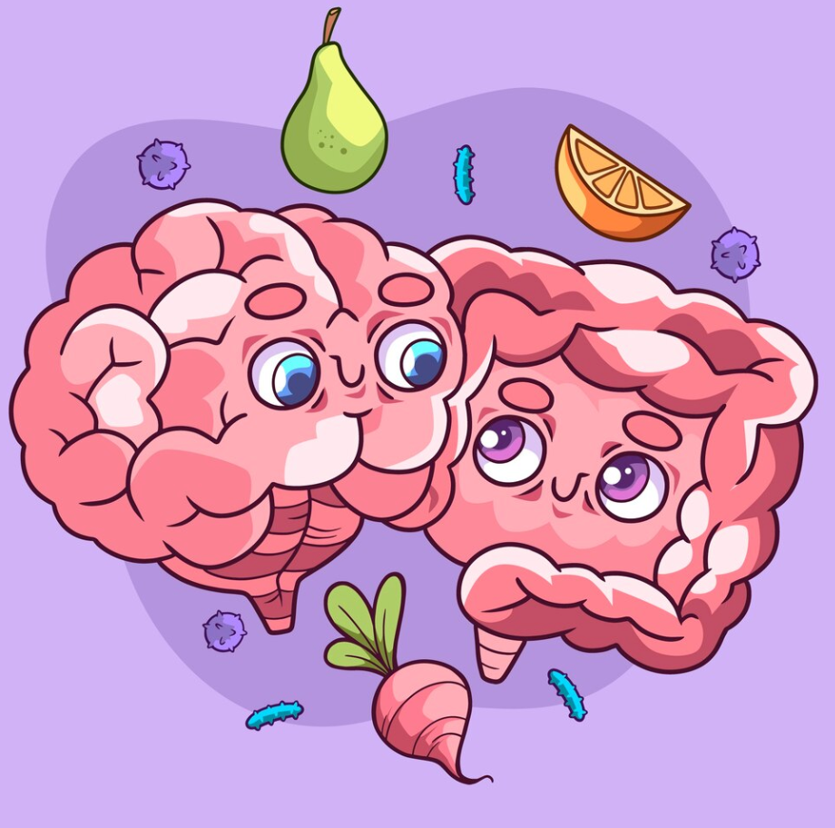 ¿Sabías que la microbiota se relaciona con la ansiedad y el estrés?