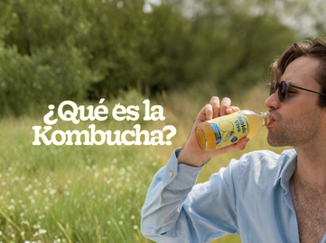 ¿Qué es la kombucha?