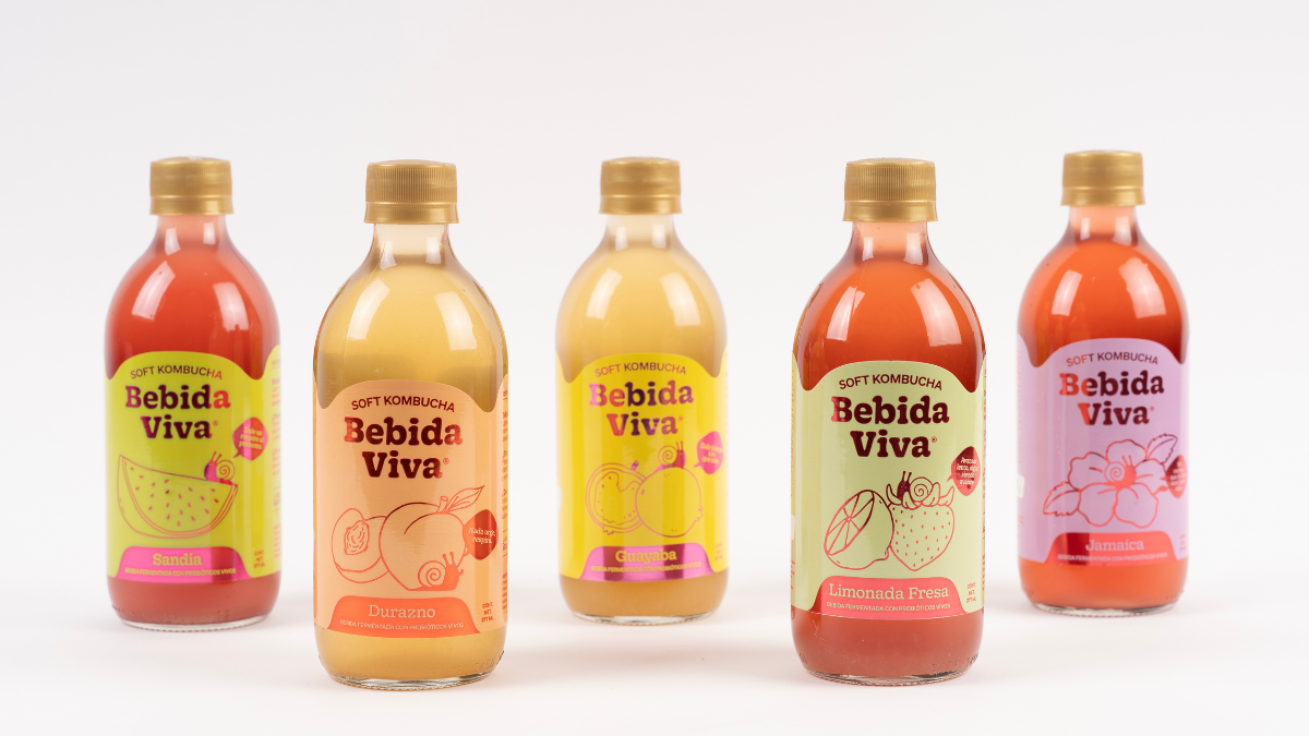 Soft Kombucha Bebida Viva