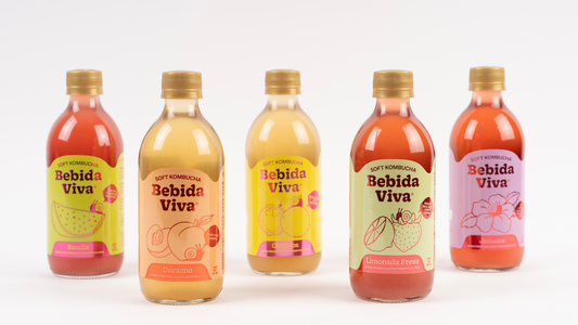 Soft Kombucha Bebida Viva