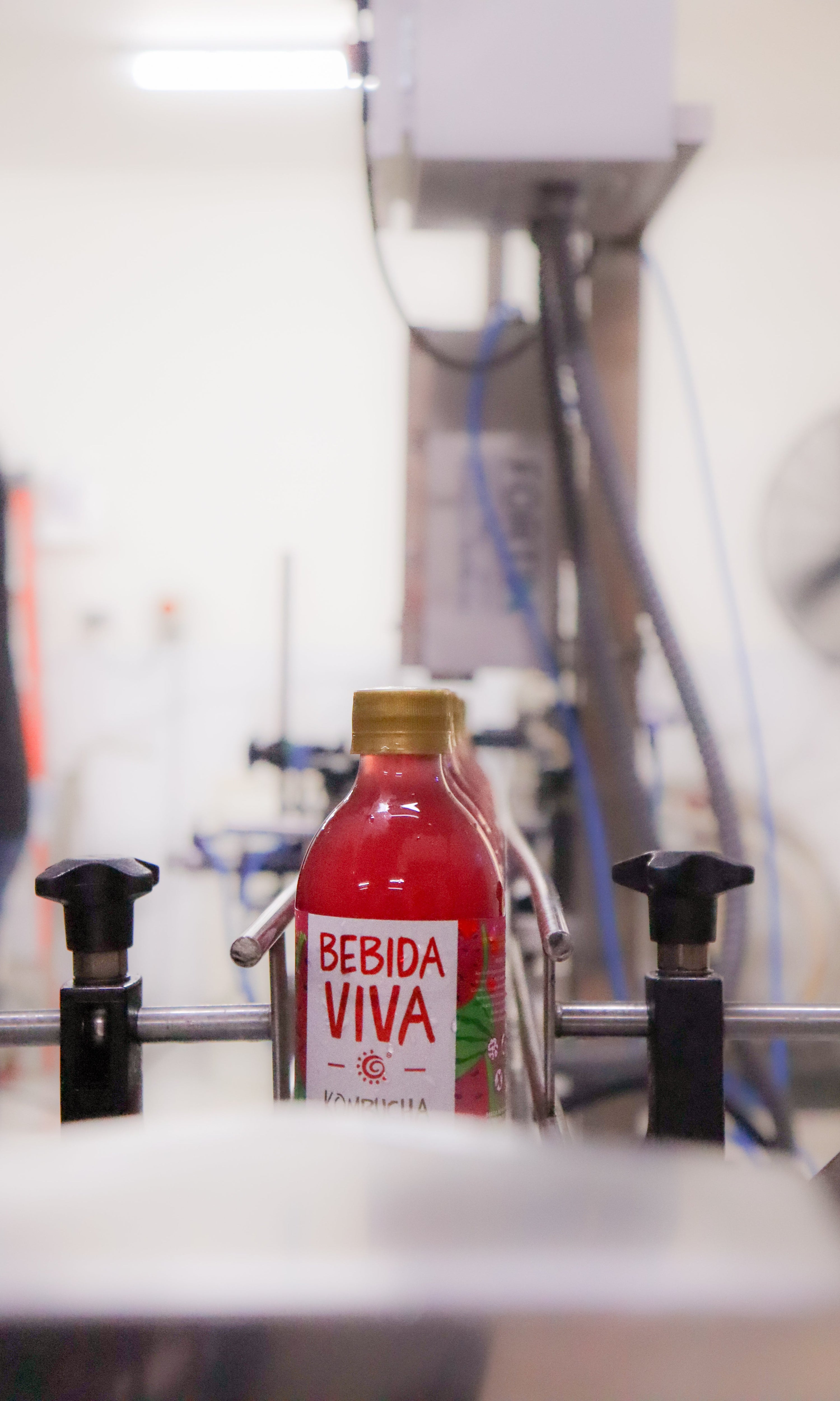 ¿Azúcar en la kombucha?  Hablemos de ello…