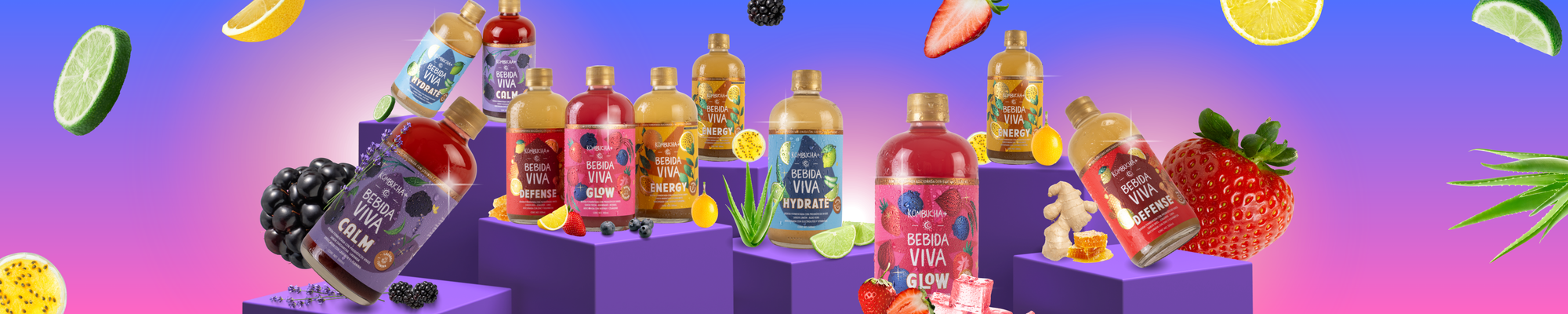 Kombucha +