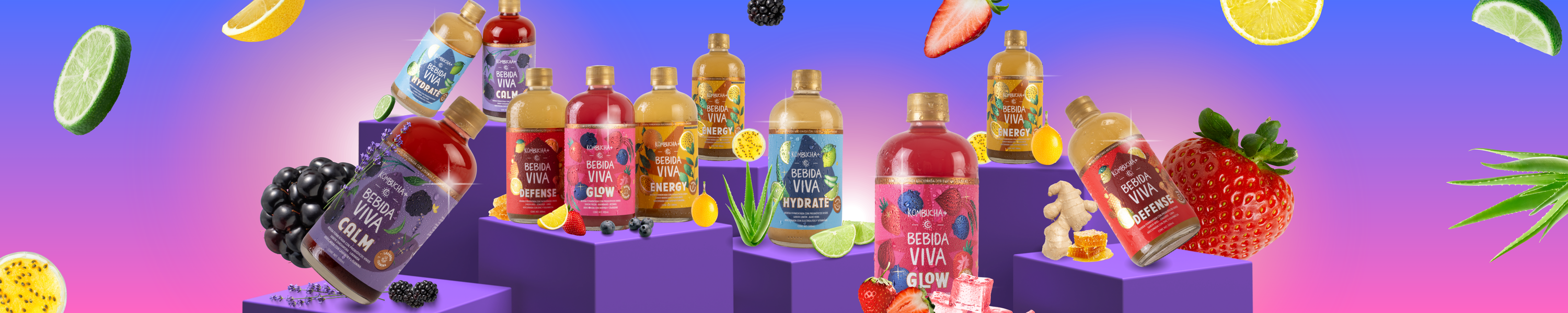 Kombucha +