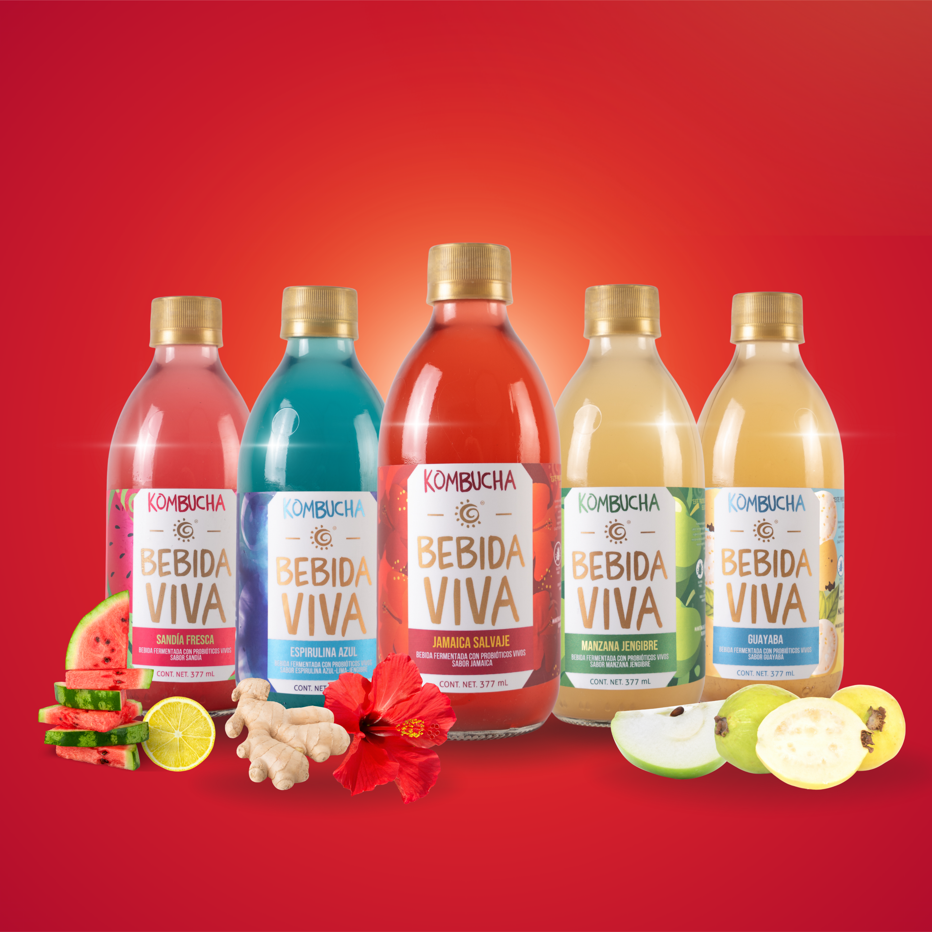 Mix pack Edición Refrescante - 12 Pack