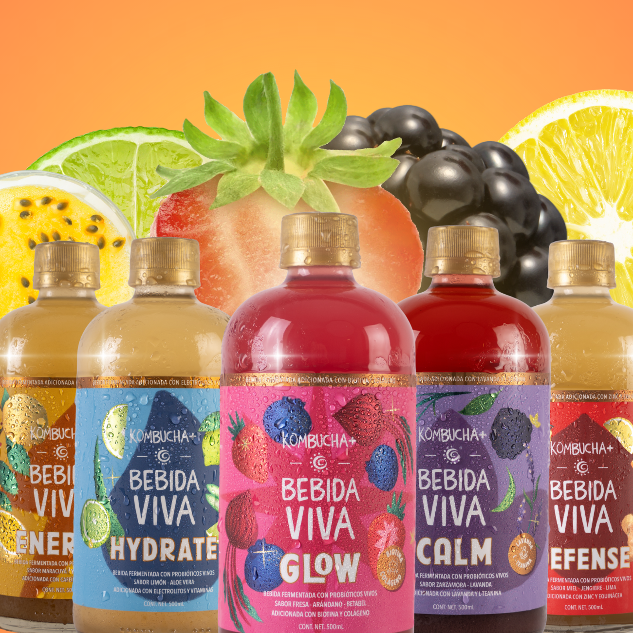 Mix Pack Funcionales - 12 Pack