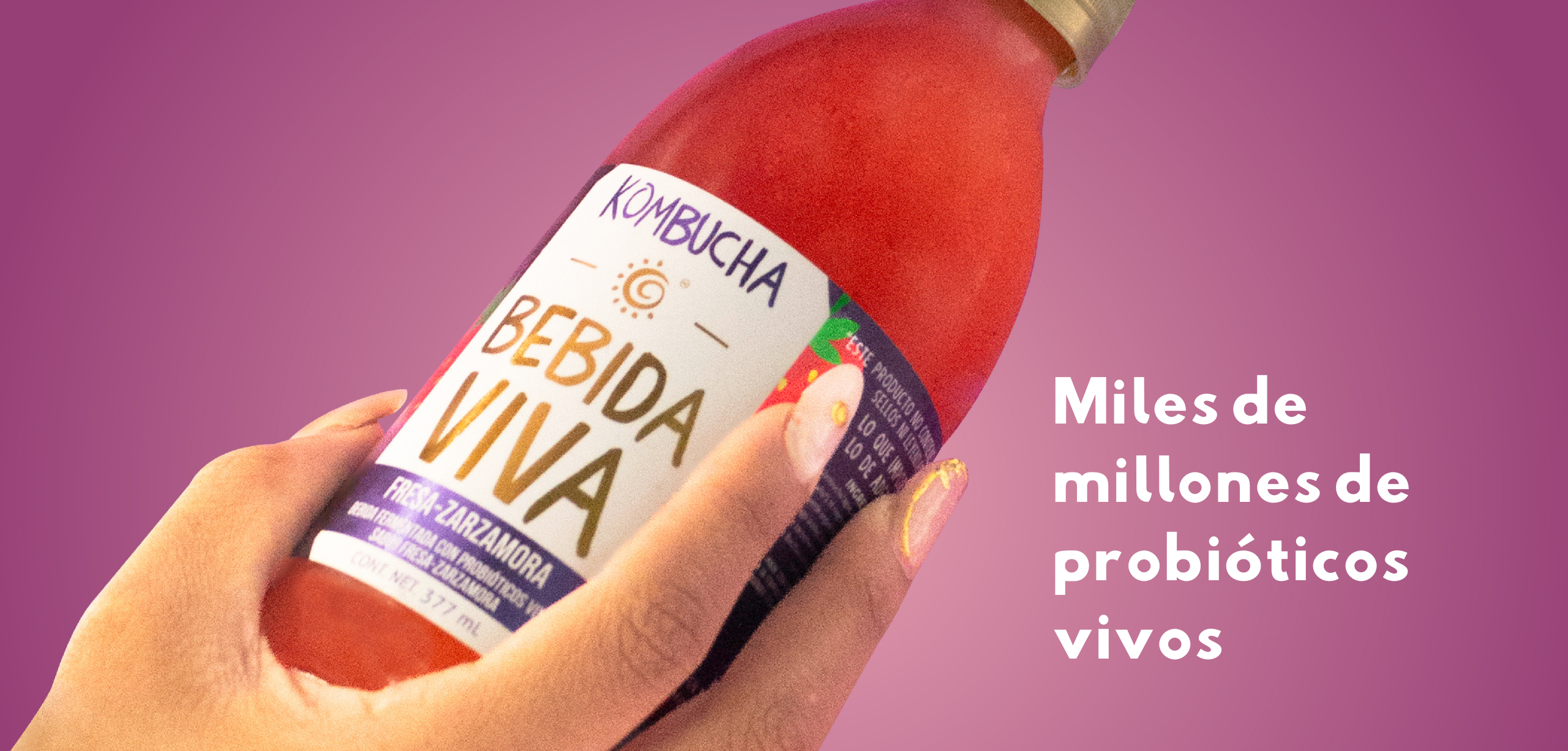 Bebida Viva Kombucha - Uva Loca