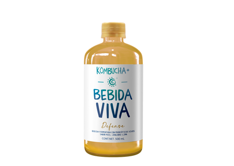 Kombucha Bebida Viva +: Defense - Miel, Jengibre y Lima