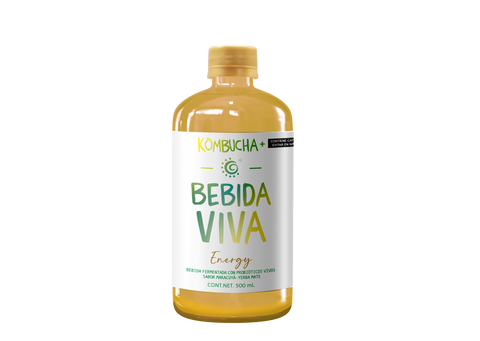 Kombucha Bebida Viva +: Energy - Maracuyá y Yerba Mate