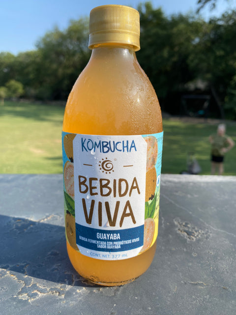 Kombucha Bebida Viva: Guayaba