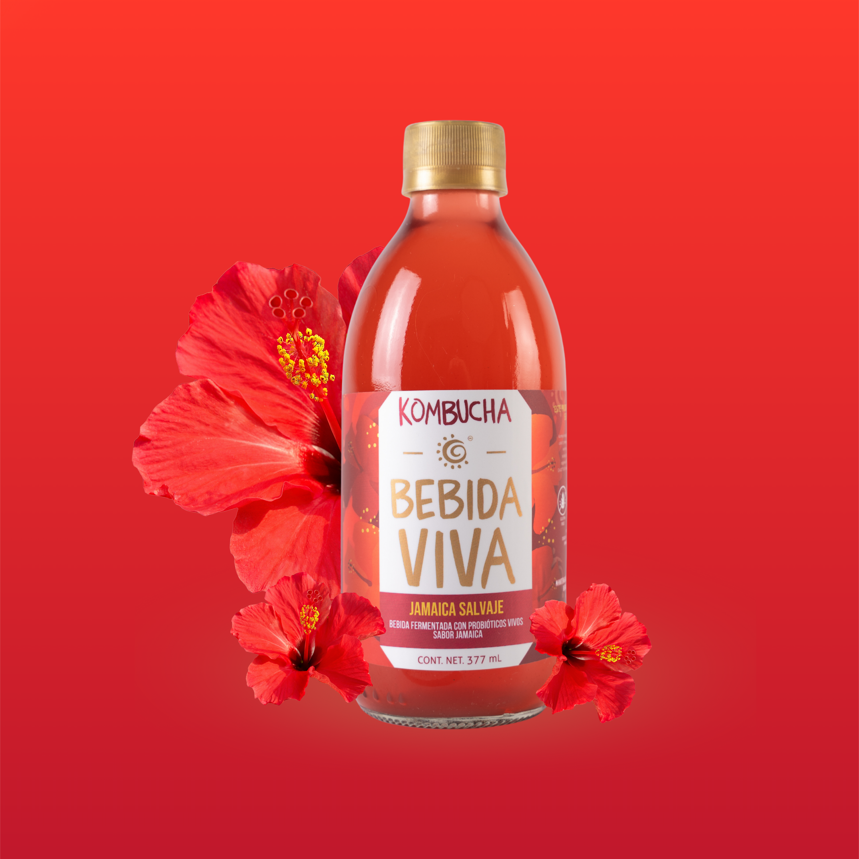 Jamaica Salvaje - 12 Pack