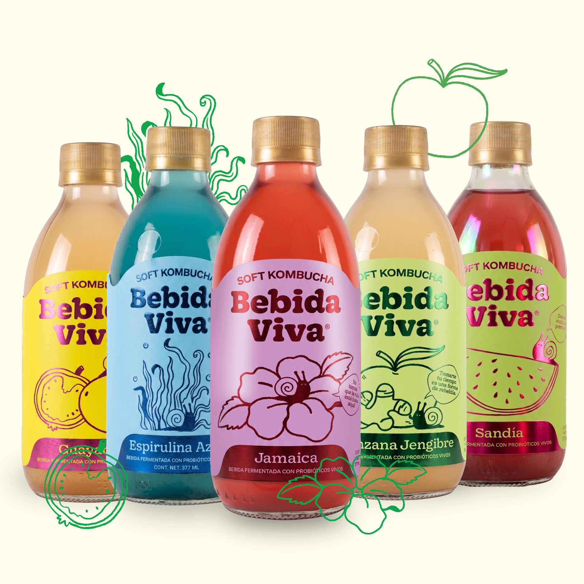 Mix pack soft kombucha - 12 Pack