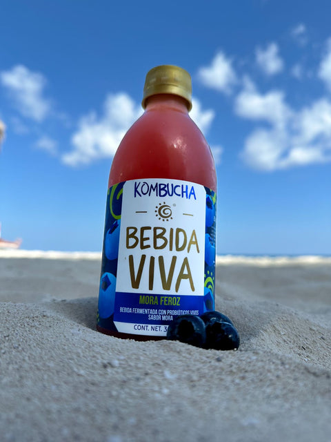 Kombucha Bebida Viva: Mora Feroz