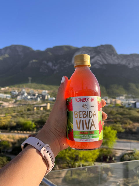 Kombucha Bebida Viva: Limonada - Fresa