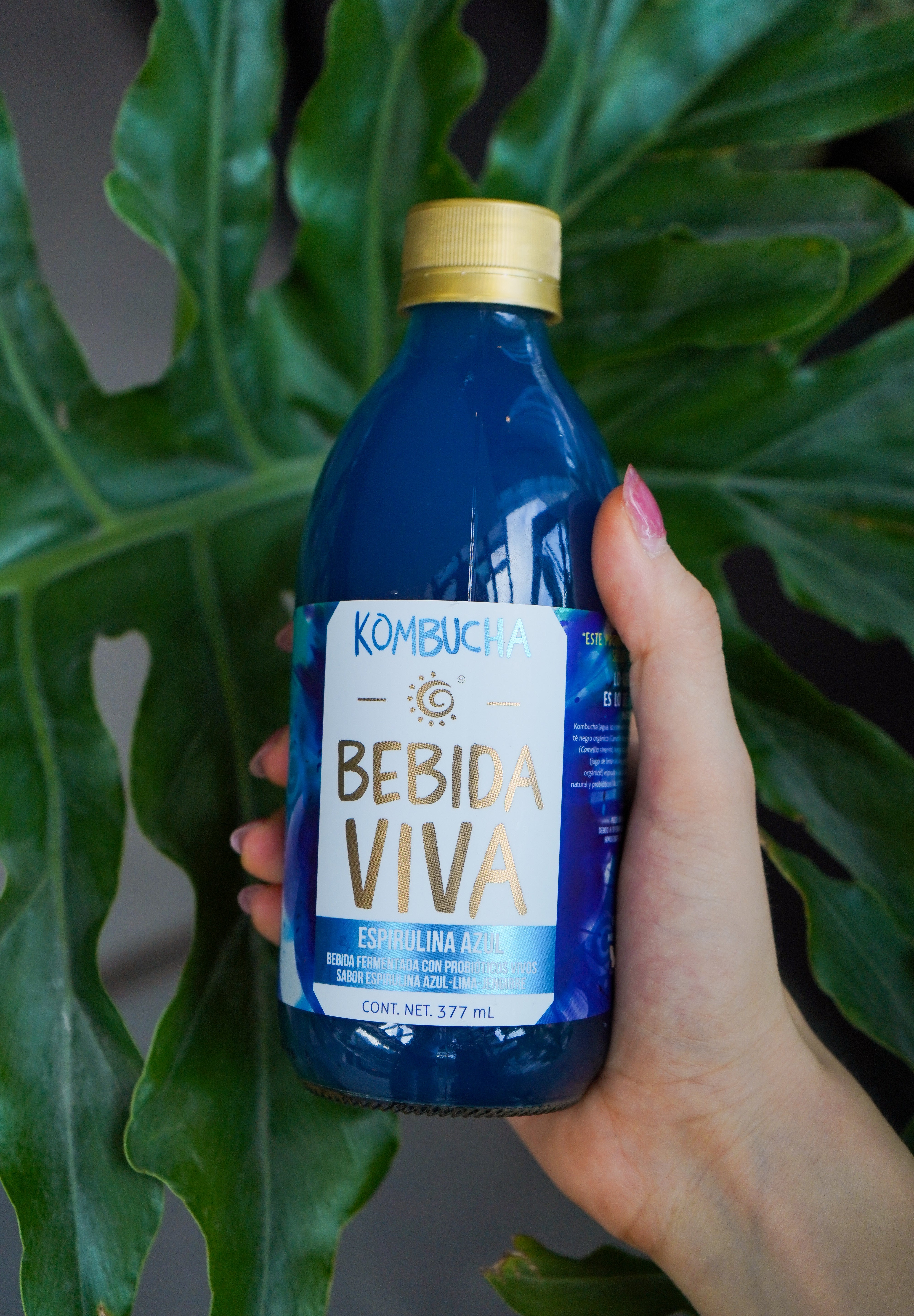 Kombucha Bebida Viva: Espirulina Azul