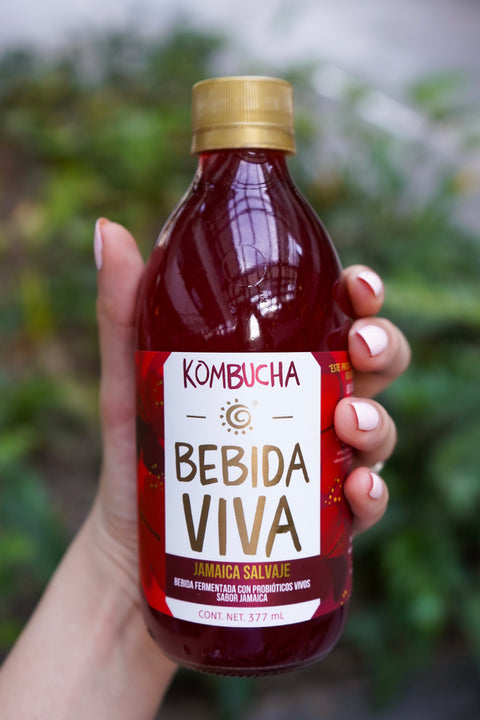 Kombucha Bebida Viva: Jamaica Salvaje